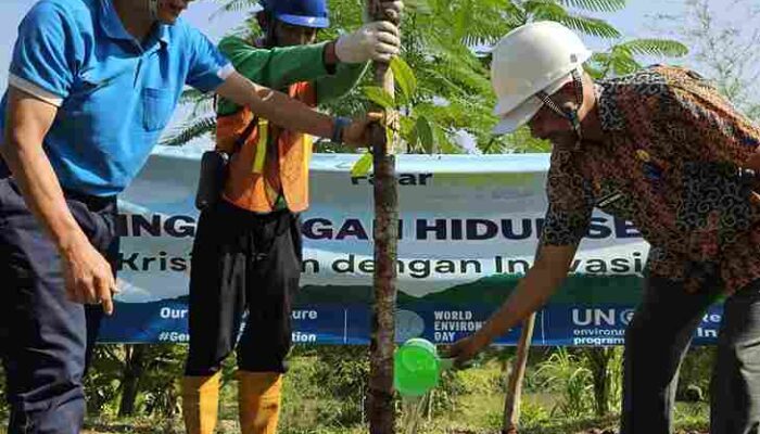 Peringati Hari Lingkungan Hidup Sedunia 2024, Ini Bukti Nyata  PT Fajar Paper