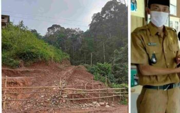 Kades Telentam “Rijaludin” Anggarkan Rp 300 Juta, Untuk Pekerjaan Perkebunan Kelapa Sawit Tahun 2023 – 2024 Diduga Mangkrak