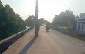 Viral!! Tiang Listrik Berdiri Kokoh di Tengah Jalan Pantai Bakti Bungin, Ini Respon PJ Bupati