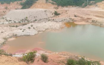 Konsorsium Lingkungan Hidup Kabupaten Tebo Sorot Keberadaan PT AMI di Desa Muara Kilis, Ini Masalahnya