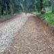 Warga Menduga dan mempertanyakan Pekerjaan Jalan Usaha Tani Desa Muaro Belengo yang tidak masuk akal...