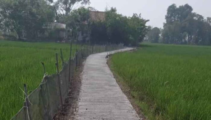 Warga Desa Sukamakmur Antusias dan Terimakasih PEMERINTAH DESA Atas Pembangunan  Jalan Lingkungan Kp. Kobak Rotan