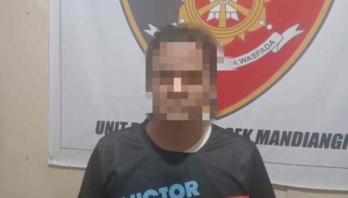 Unit Reskrim Polsek Mandiangin Amankan Pelaku Penganiayaan Menggunakan Sajam 