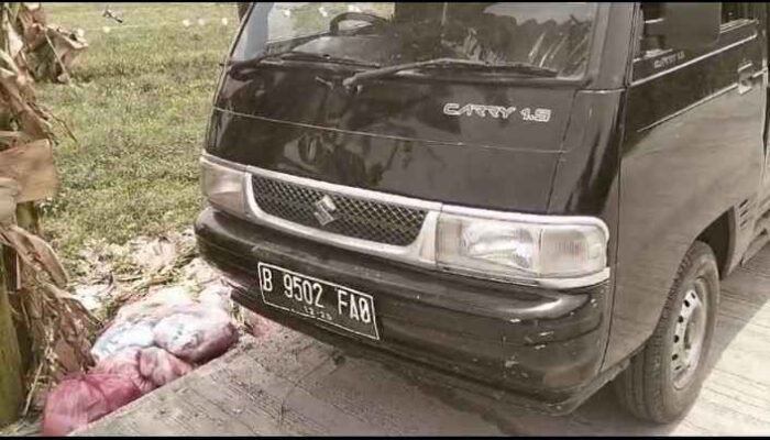 Lama di Intai !! Mobil Pickup Pembuang Sampah Liar Tertangkap Basah di Kabupaten Bekasi