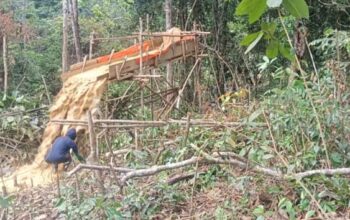 Skandal PETI Tambang Emas Ilegal di Sungai Kapas C2 kabupaten Merangin Belum Tersentuh Hukum, Ada Apa !!