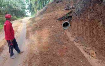 Proyek Gorong-Gorong di Desa Pulau Tujuh Diduga Lemah Pengawasan dan Abaikan K3