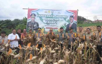Wabup H A Khafid Bersama Kapolres Panen Raya Jagung