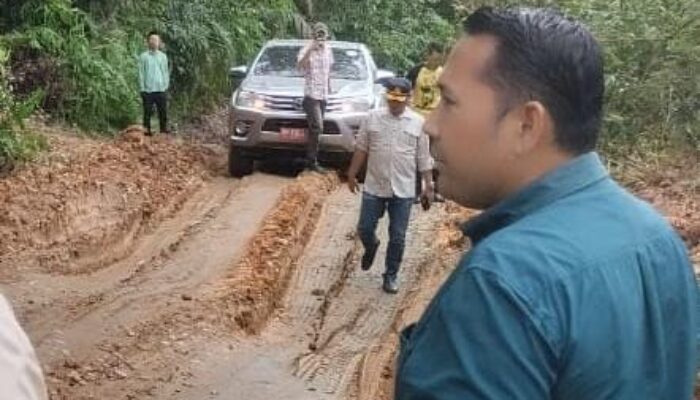 Bupati H M Syukur Tinjau Jalan Tabir Timur dan Tabsel,Kesulitan Transportasi yang Dirasakan Masyarkat Kami Ingin Rasakan