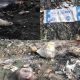  Penampungan Sampah B3 Rumah Sakit Yang Berbahaya dan Beracun Diduga Tidak Berizin 