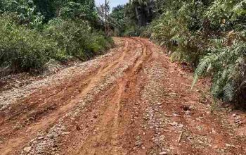 WARGA SELANGO KECEWA! JALAN MENUJU PAMENANG SELATAN MAKIN HANCUR, PROYEK PENGERASAN DIDUGA ASAL JADI