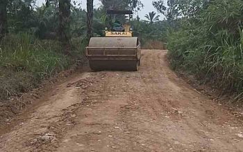 Hasil Investigasi Awak Media: Jalan Desa Selango Diperbaiki Ulang Usai Disorot, Respons Cepat Bupati Merangin Tuai Apresiasi Warga