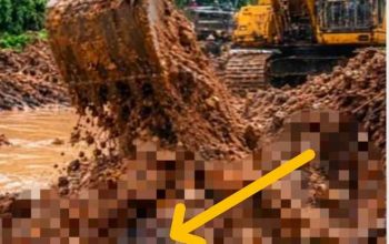 Polisi Diminta Tangkap Pelaku PETI Yang Merengut Nyawa Manusia di Rantau Limau Kapas