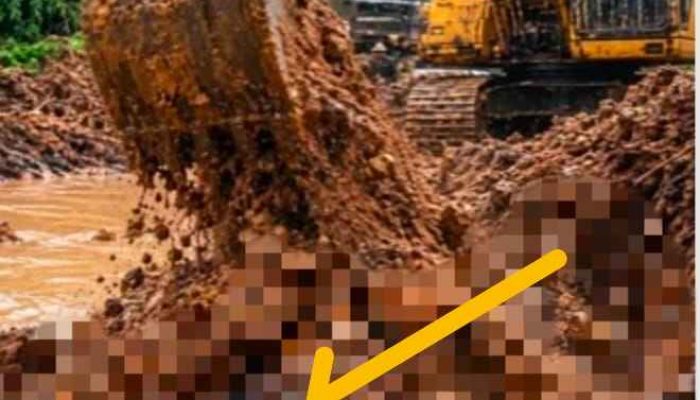 Polisi Diminta Tangkap Pelaku PETI Yang Merengut Nyawa Manusia di Rantau Limau Kapas