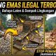 TIGA EXCAVATOR DIDUGA BEROPERASI DI LOKASI PETI RANTAU JERING–MUARA PANGI, APH DITANTANG BERTINDAK!