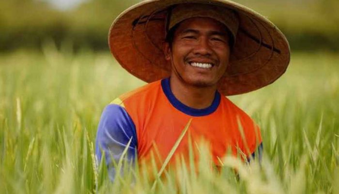 Prof Dr Sutan Nasomal Menghimbau Lahan Gambut Saatnya Dijadikan Pertanian Perkebunan Bukan Dibakar Ironis!!!